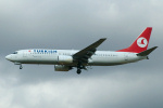 Photo of Turkish Airlines Boeing 737-86N(W) TC-JFL